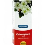 94619_9a45c571-c23a-43c9-b871-84057979a762_800x