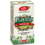 R13-cps-Plantusin-Gat-3D-20192-1