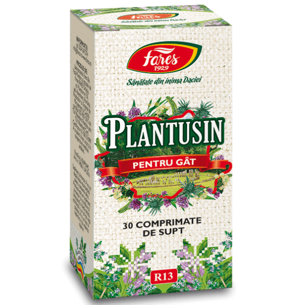 R13-cps-Plantusin-Gat-3D-20192-1