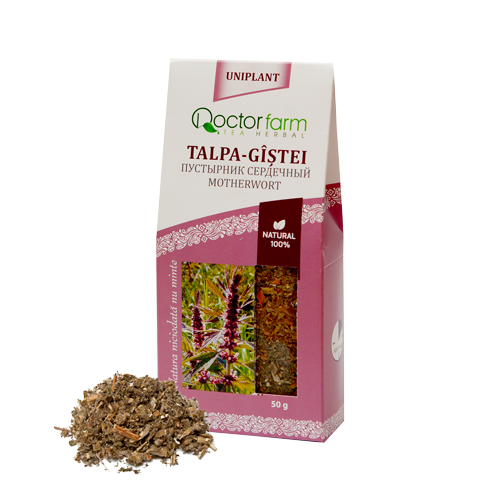 talpa-gastei-categorie (2)