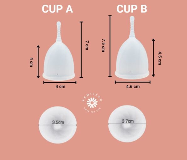 6172b24b779d11ec9df8dc4a3e6eee40_6172b24c779d11ec9df8dc4a3e6eee40