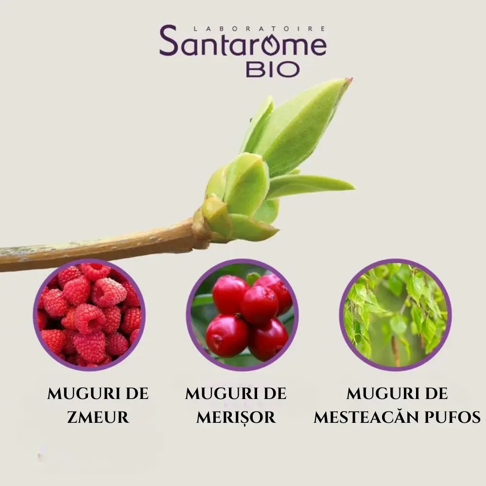 3455540002866-Gemmo-Menopauza-secundar-2