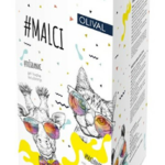 olival-kids-set-malci_1468898120200903140448