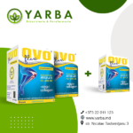 Yarba_1_website banner_600x600