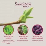 3455540002903-Prostate-3-Gemmo-Bio-30-ml-Santarome-imagine-principala-produs-removebg-preview