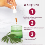 3455540002903-Prostate-3-Gemmo-Bio-30-ml-Santarome-imagine-principala-produs-removebg-preview