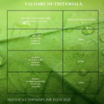 3455540002903-Prostate-3-Gemmo-Bio-30-ml-Santarome-imagine-principala-produs-removebg-preview