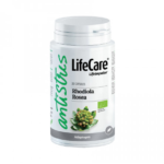 rhodiola-rosea-life-care-729-729