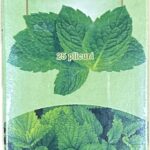 viber_image_2024-02-13_20-25-48