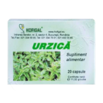 97fecc5b591deed5266207519e9fadbb-removebg-preview