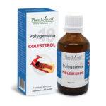 Colesterol 1×1 (1)